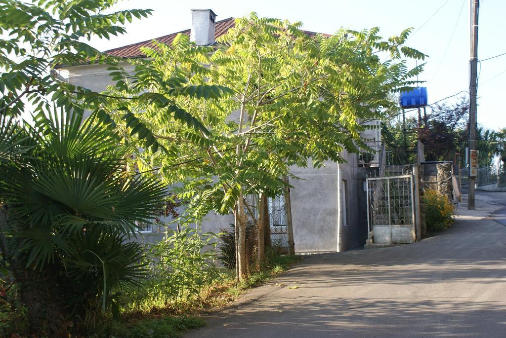 Merabi And Neli Guest House มาคินจอรี ภายนอก รูปภาพ